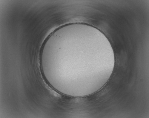 X0000051910950200506241439