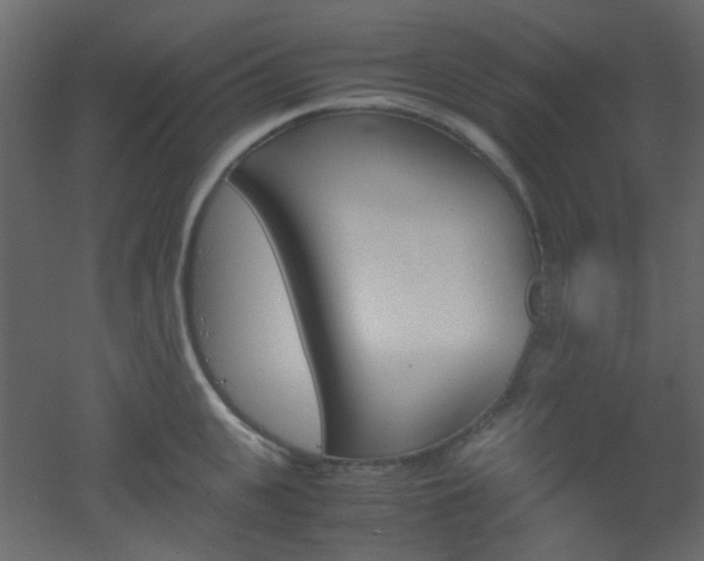 X0000051910951200506241439