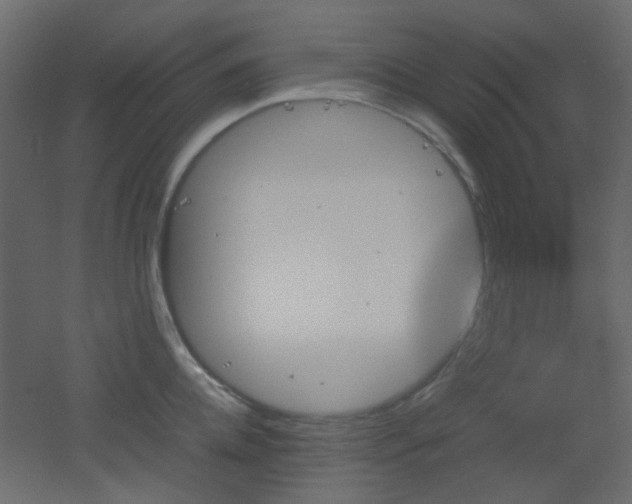 X0000051910952200506241439