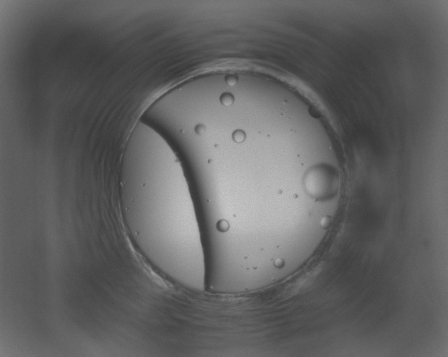 X0000051910953200506241439