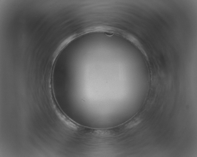 X0000051910954200506241439