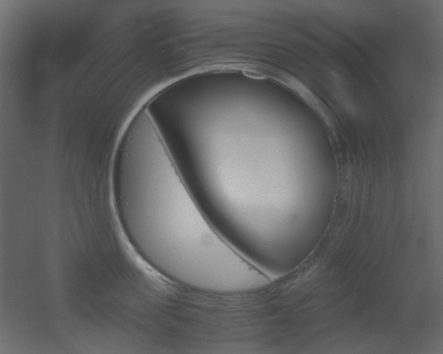 X0000051910955200506241439