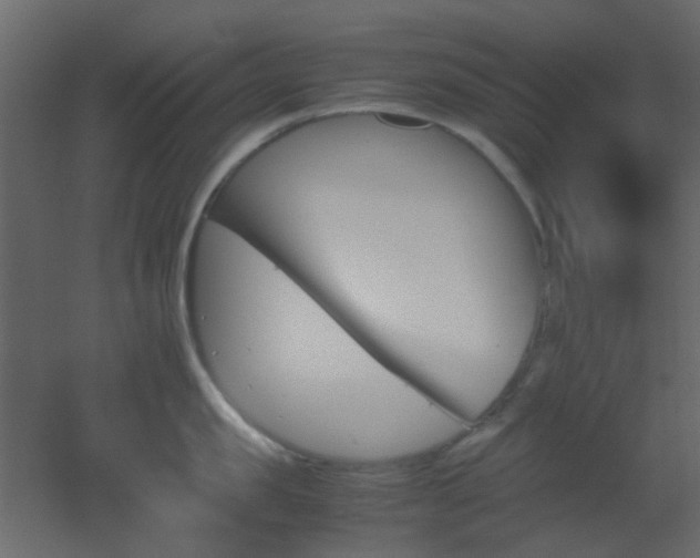 X0000051910957200506241439