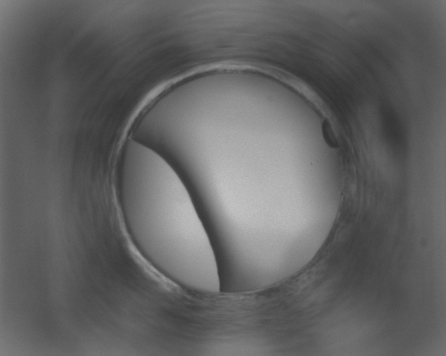 X0000051910958200506241439