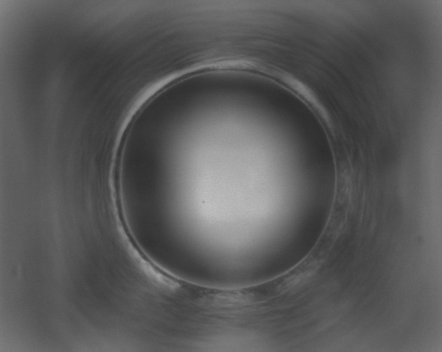 X0000051910959200506241439