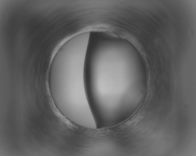 X0000051910960200506241439