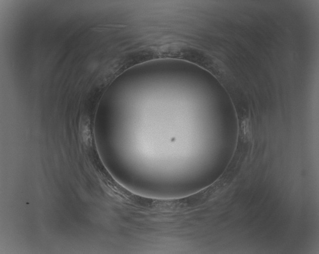 X0000051910963200506241439