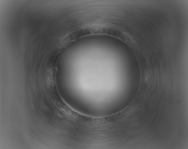 X0000051910964200506241439