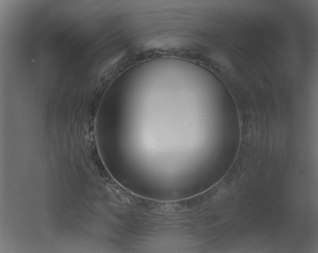 X0000051910966200506241439