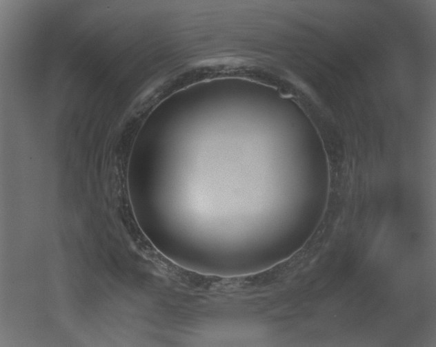 X0000051910967200506241439