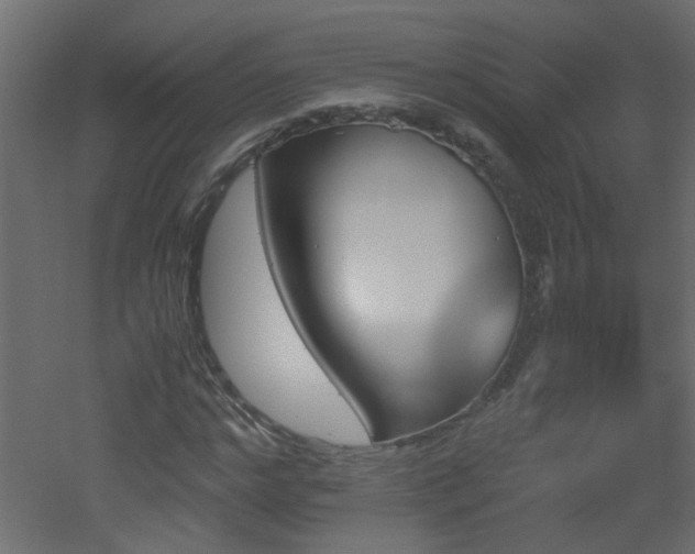 X0000051910968200506241439