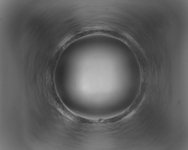 X0000051910969200506241438