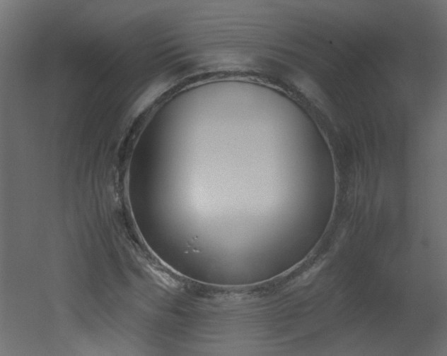 X0000051910970200506241438