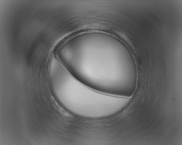 X0000051910971200506241438