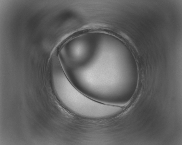 X0000051910973200506241438