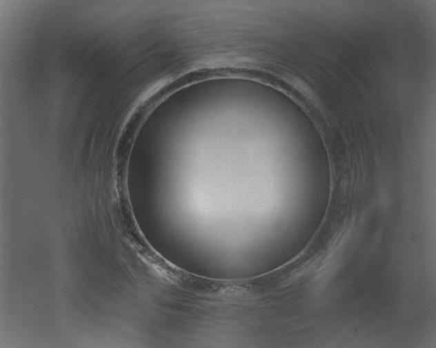 X0000051910974200506241438