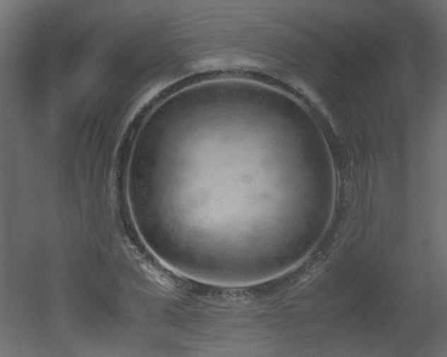 X0000051910975200506241438