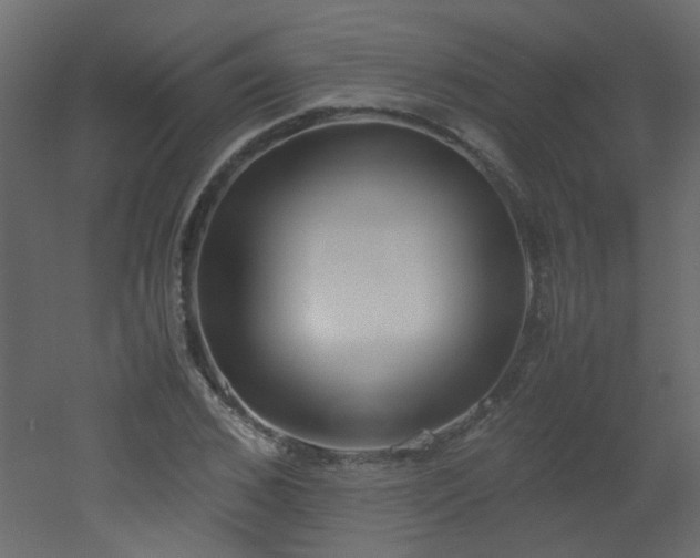 X0000051910976200506241438