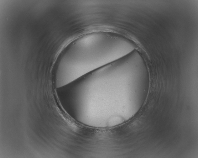 X0000051910978200506241438