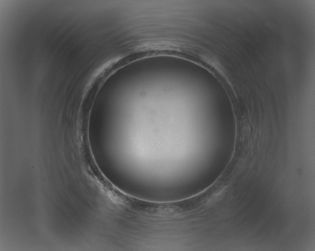 X0000051910979200506241438