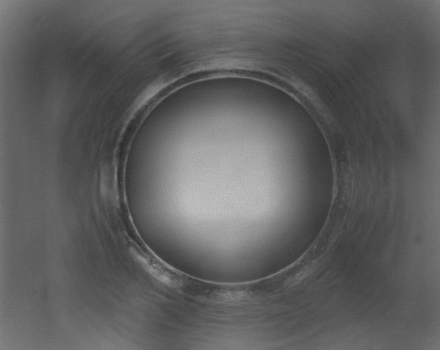 X0000051910982200506241438