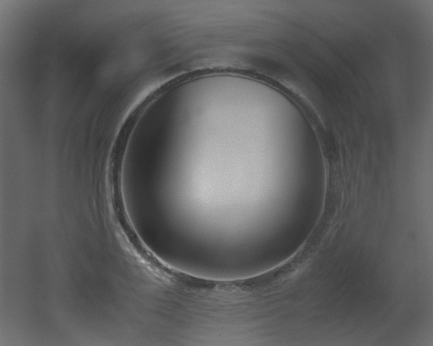 X0000051910983200506241438