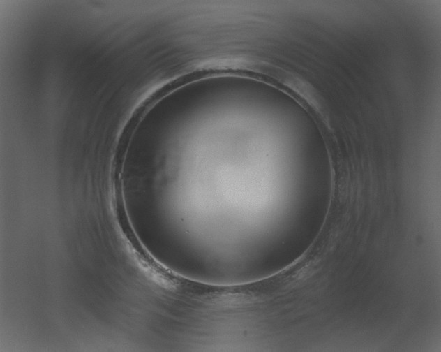 X0000051910984200506241438