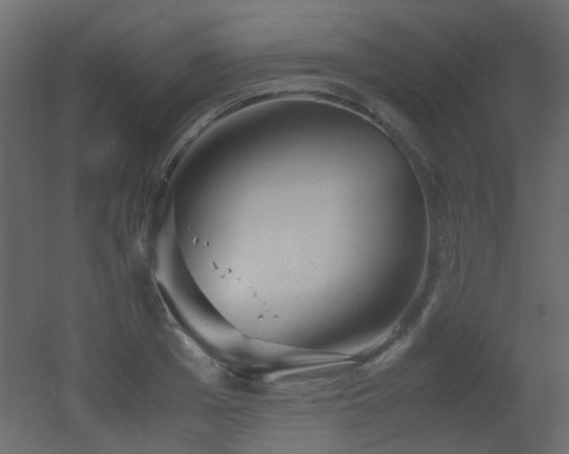 X0000051910985200506241438