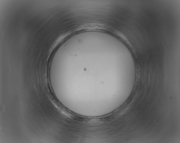 X0000051910986200506241438