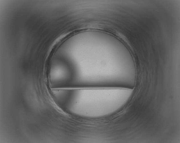 X0000051910987200506241438