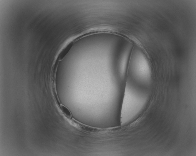 X0000051910989200506241438