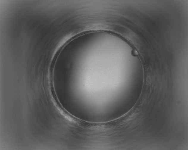 X0000051910990200506241438