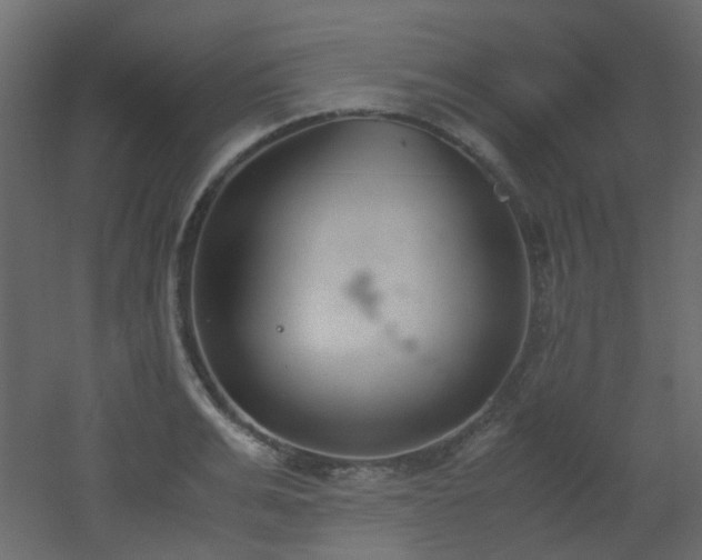 X0000051910991200506241438