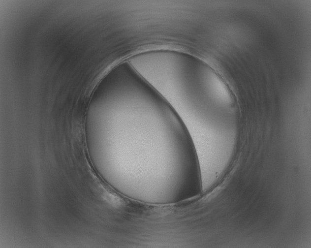 X0000051910993200506241438