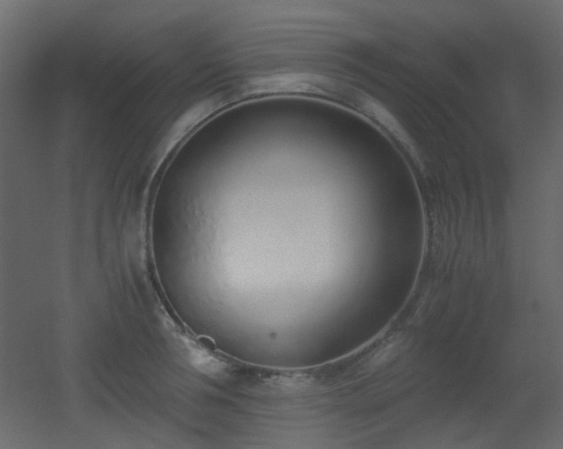 X0000051910994200506241438