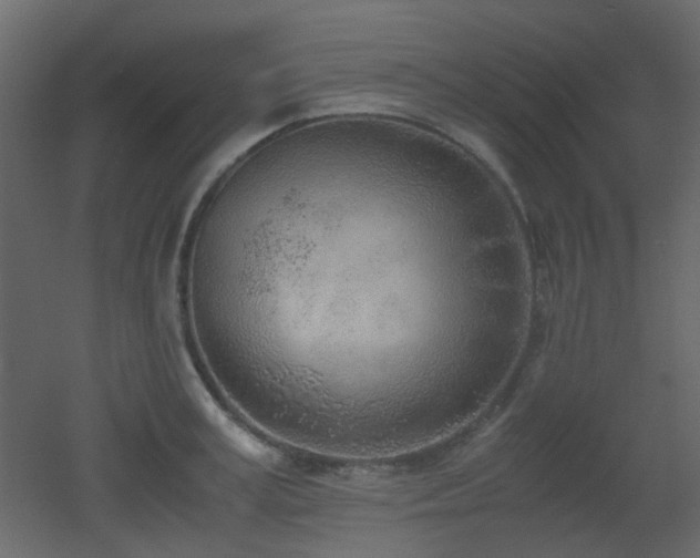 X0000051910995200506241438