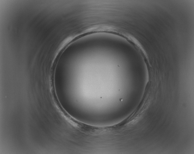 X0000051910997200506241438