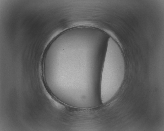 X0000051910999200506241438