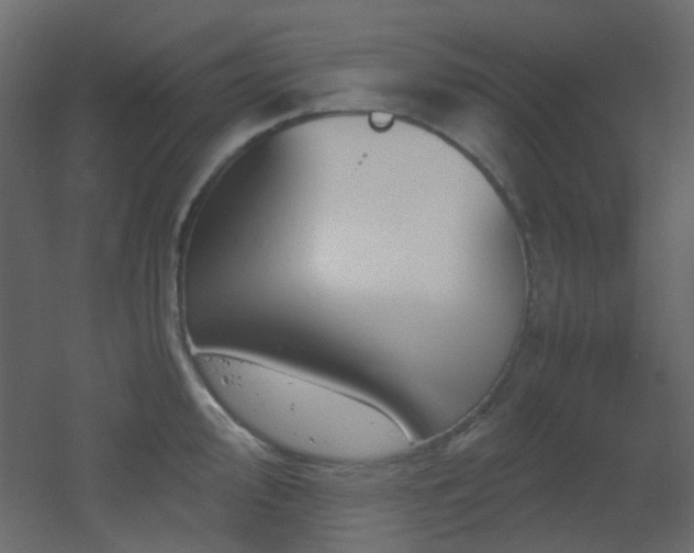 X0000051911000200506241438