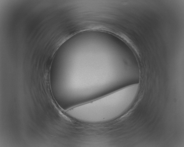 X0000051911001200506241438