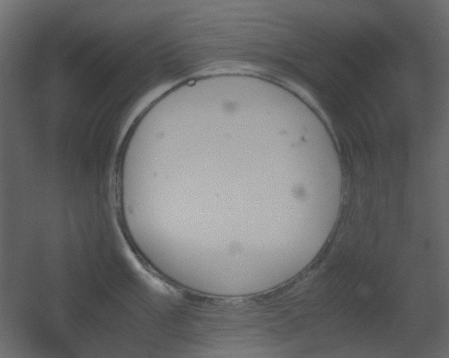 X0000051911003200506241438