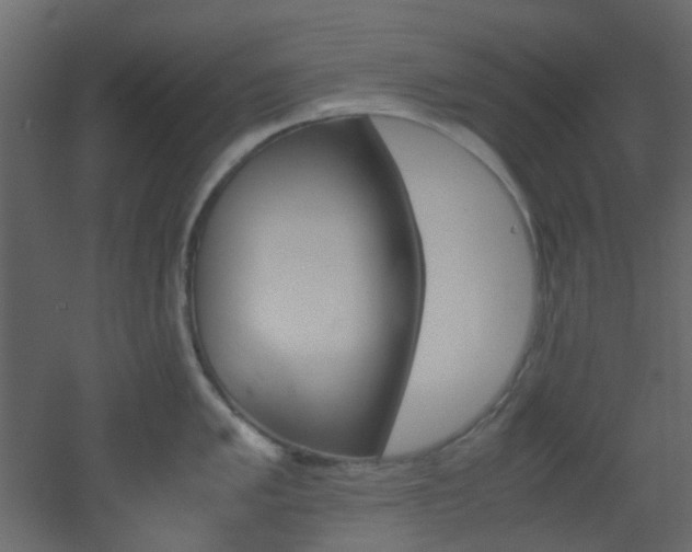 X0000051911005200506241438