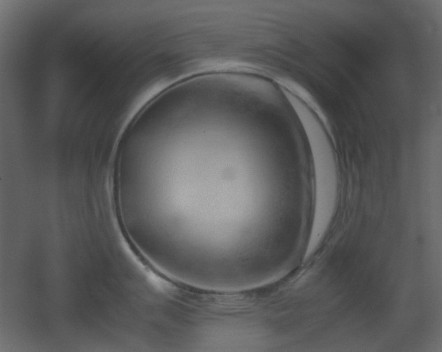 X0000051911007200506241438