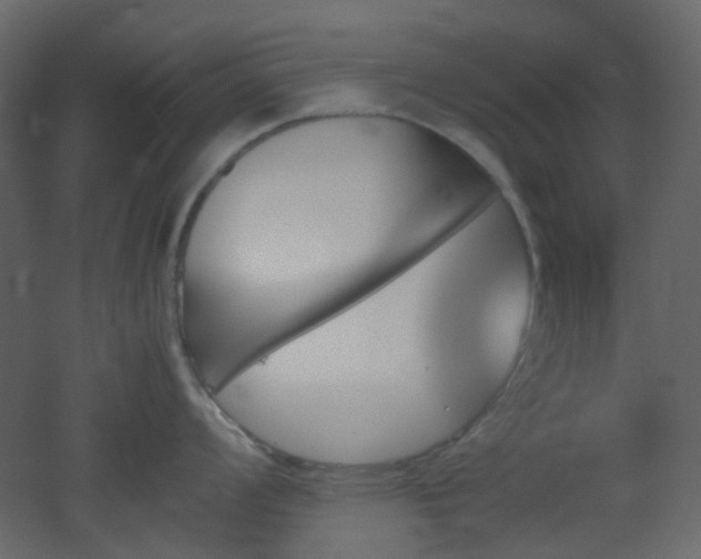 X0000051911008200506241438