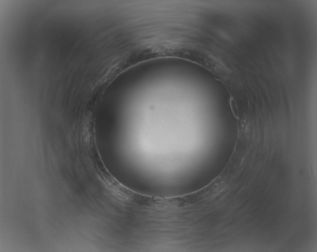 X0000051911012200506241437