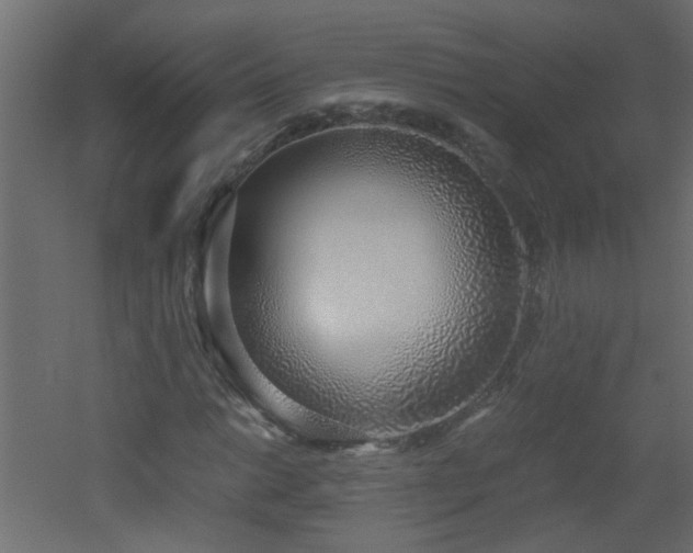 X0000051911014200506241437