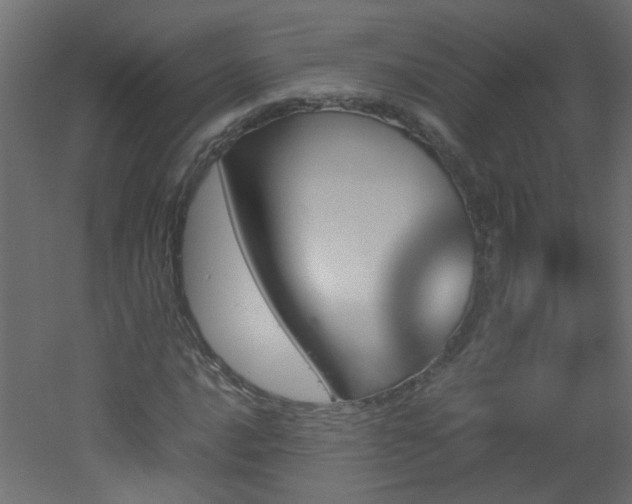 X0000051911016200506241437