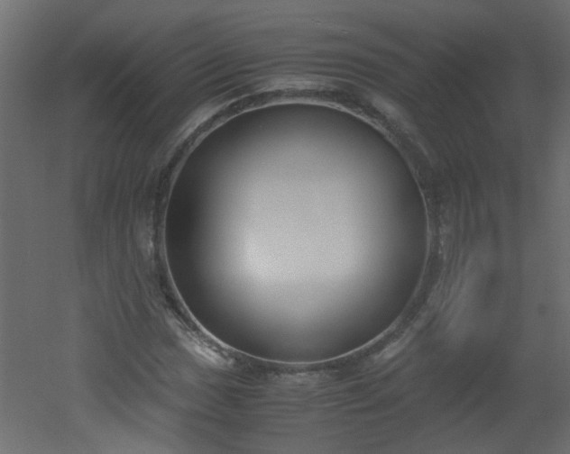 X0000051911017200506241437