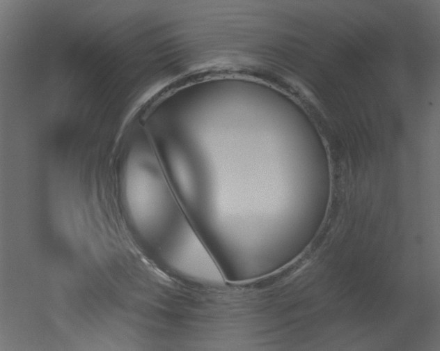 X0000051911018200506241437