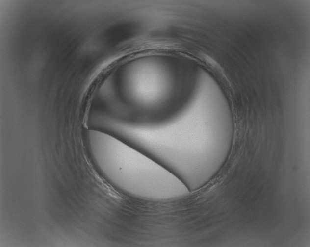 X0000051911019200506241437